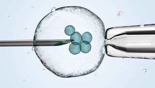 Ce presupune fertilizarea in vitro - metode, contraindicatii