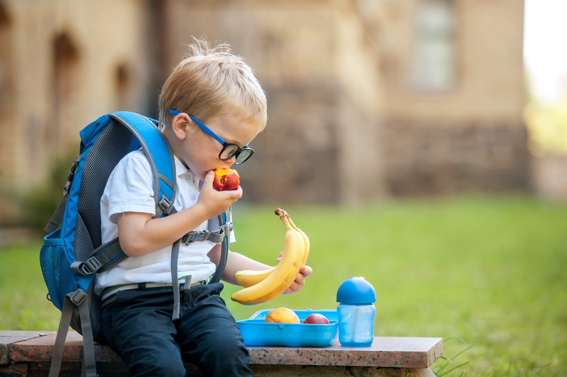Pachețelul de școală și planul alimentar al unui copil în viziunea medicului nutriționist