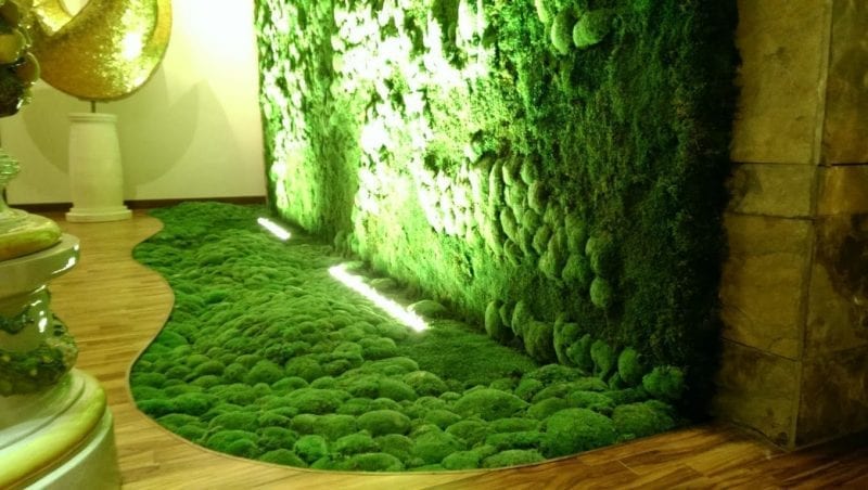 carpet Accurate Identify Amenajările cu grădini verticale, soluția perfectă ca să aduci natura în  interior - LIFE.ro