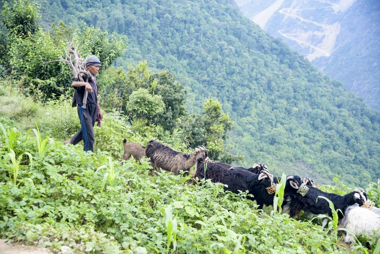 Viața în Tibet