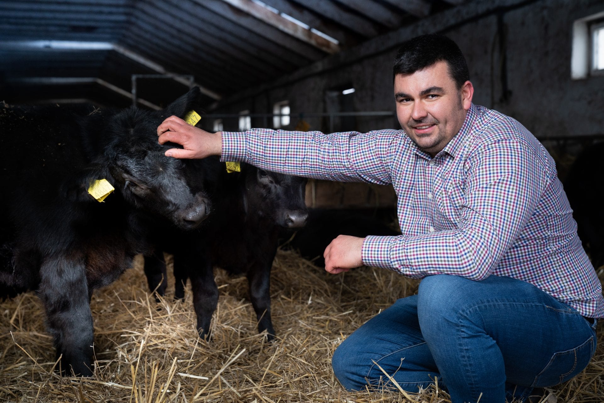 De la „căpșunar” până la crescător de vaci Angus la Călărași. Povestea tânărului care a lăsat o afacere de un milion de lire sterline la Londra pentru a munci acasă