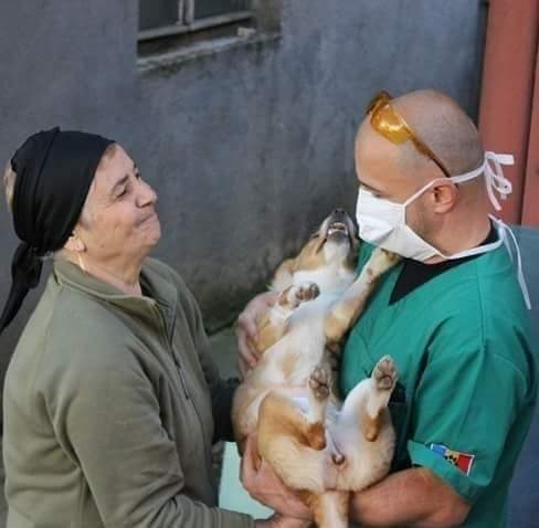 Homeless Animal Hospital