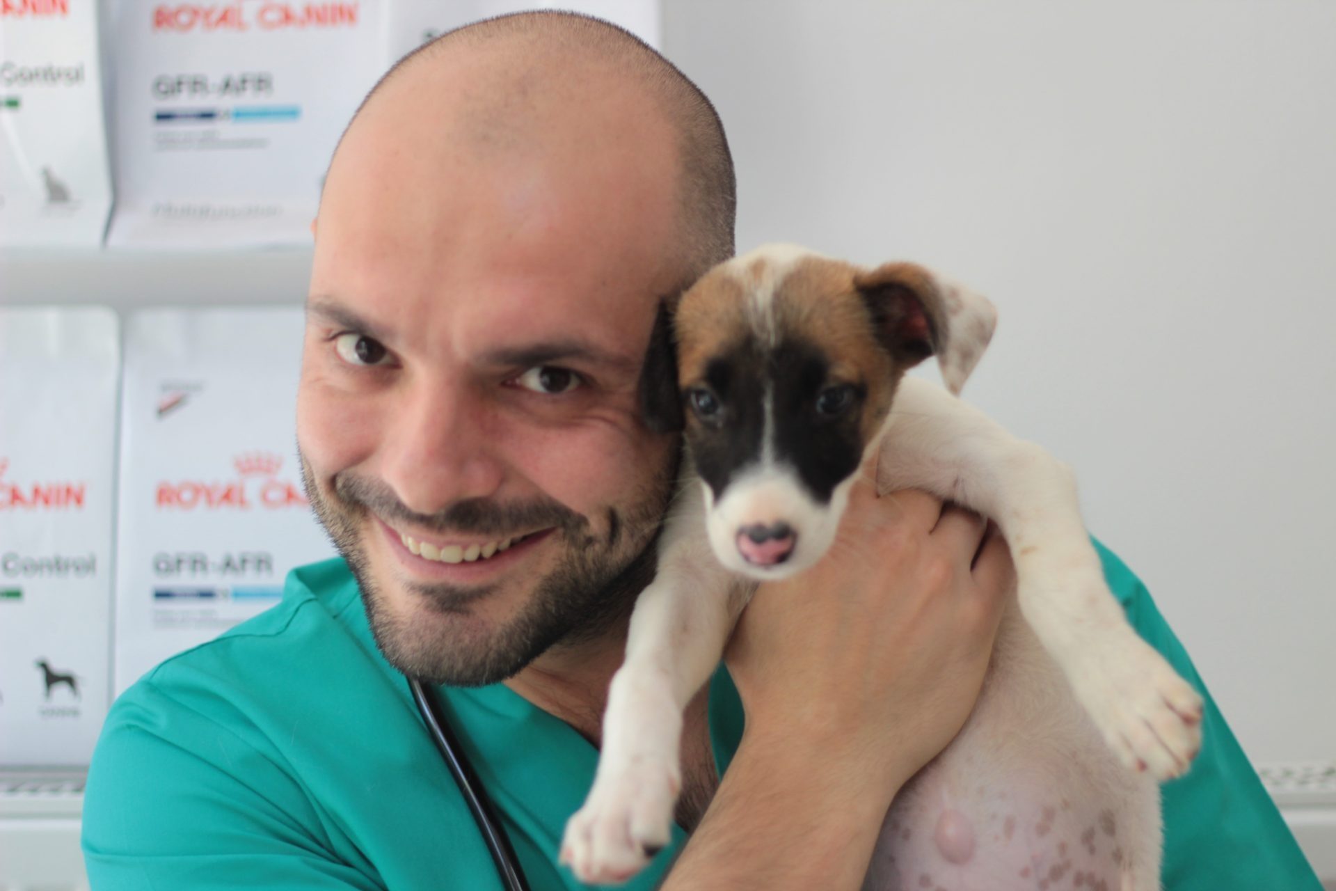 Cum avem grijă de animalele noastre de companie? Și de ce este esențial să alegem o hrană de calitate? Dr. Cristian Cristea: Posesorii de câini sau pisici trebuie să aloce un minim de 4 ore pentru interacțiunea cu ei