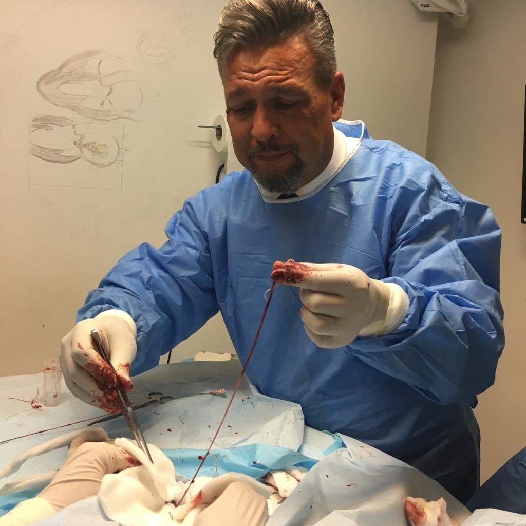 Florin Leca, veterinarul care operează inimile și bolile grave ale câinilor
