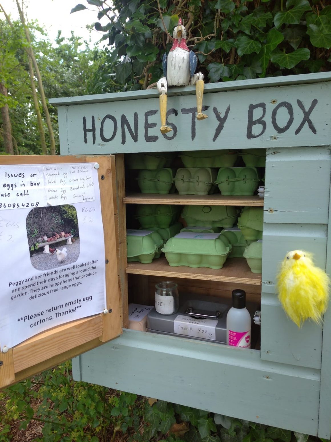 Honesty box, locul de unde oricine din comunitate își cumpără ouăle