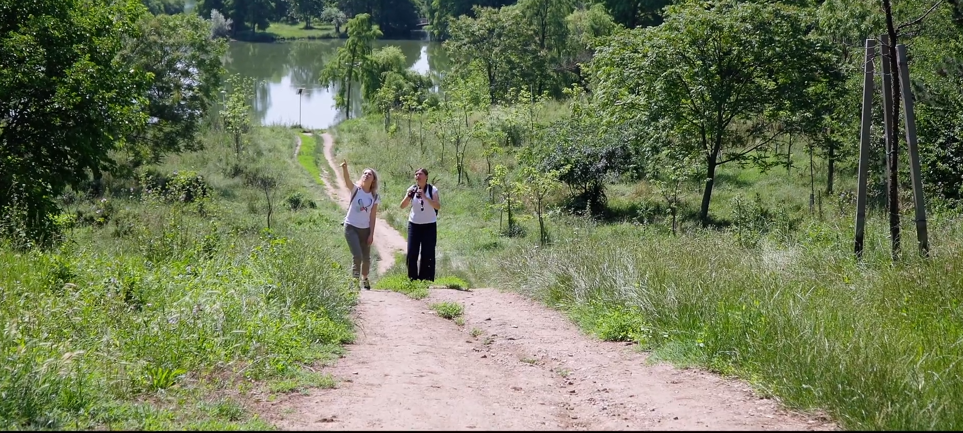 Livia Gyongyosi, voluntar SOR: „Primăvara, găsim în hrănitorile pițigoilor din Parcul Tineretului, aduse de oameni, colivă, tocăniță, covrigi sărați, gem de prune sau pâine, o dietă groaznică pentru niște păsări insectivore”