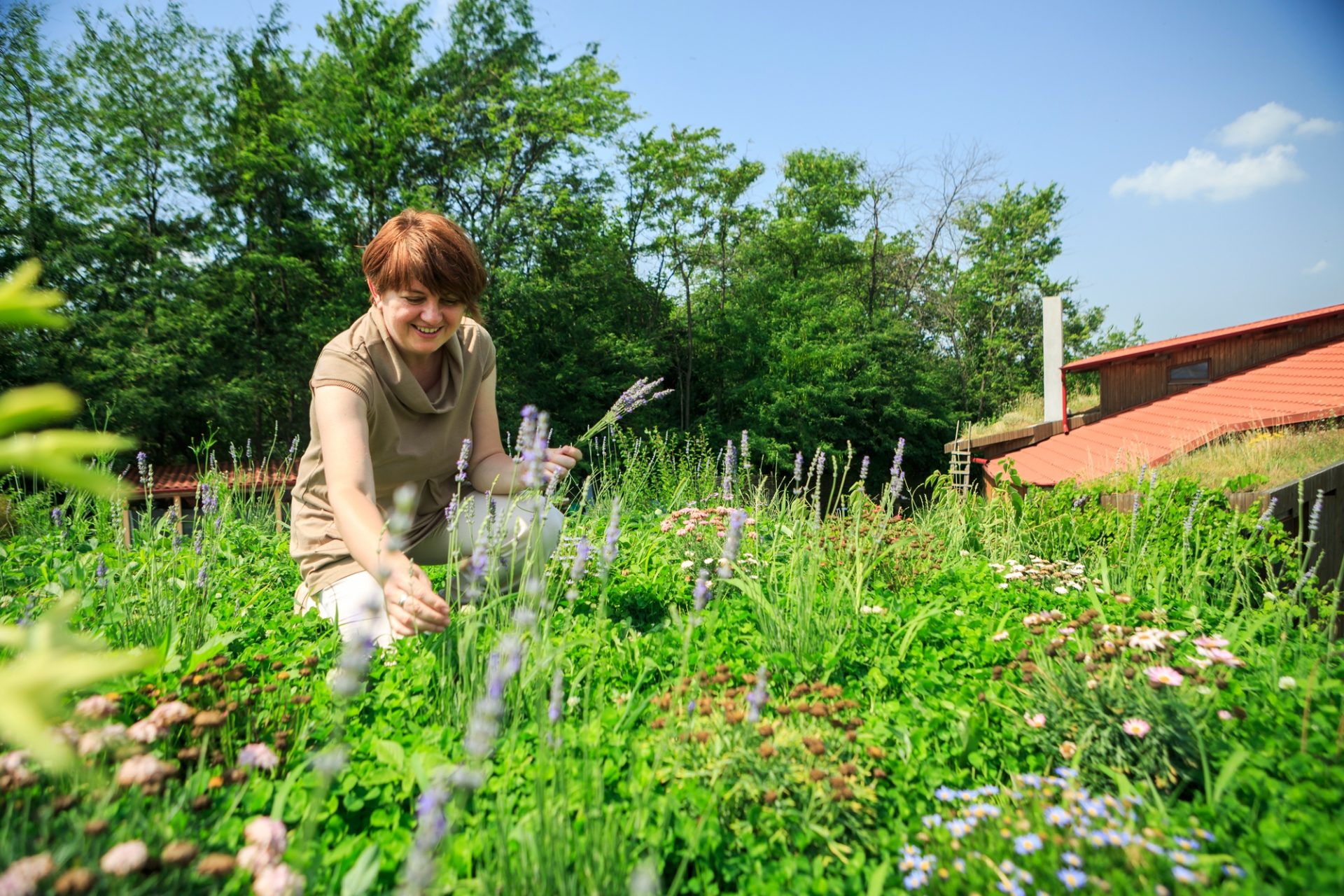 Felicia Ienculescu, Green Mogo: „Aliatul nostru în lupta cu schimbările climatice este natura, dar noi ne atacăm cel mai loial aliat”