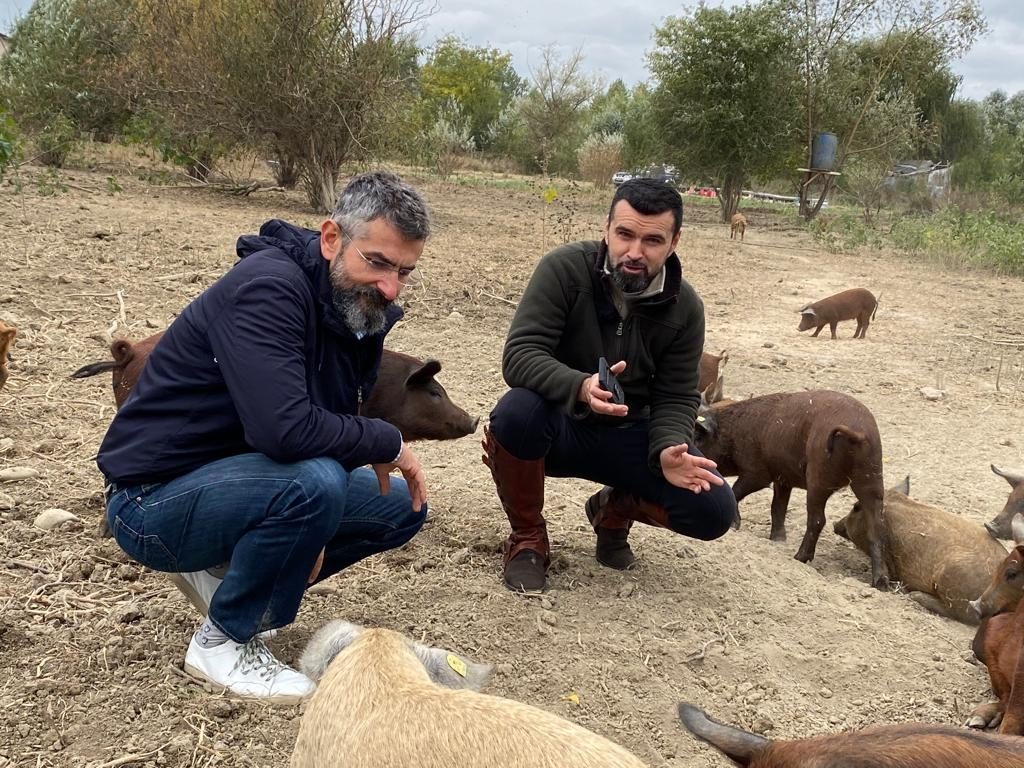 Moșia Chindia raiul purceilor și al păsărilor de curte. Sau cum un cântăreț de operă și un publicitar aduc pe mesele noastre cele mai curate și sănătoase produse de la țară