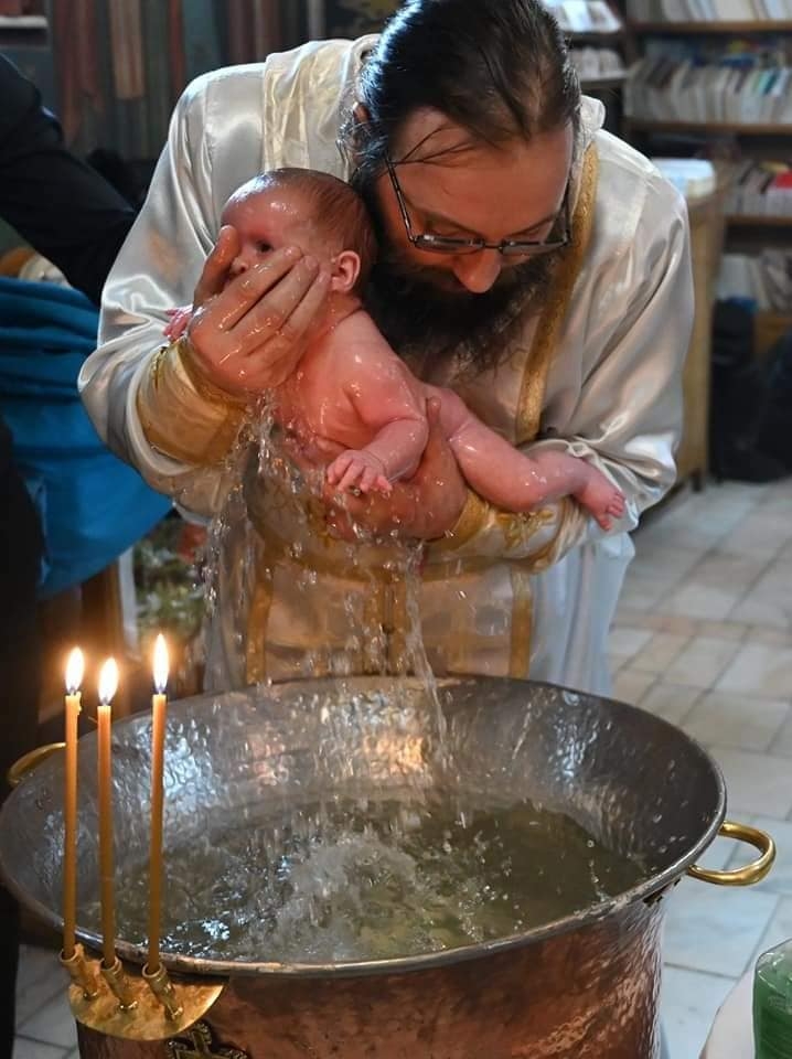 Damaschin botează