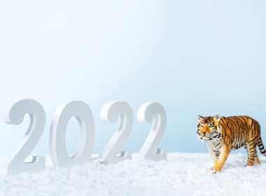 Zodiac CHINEZESC 2022