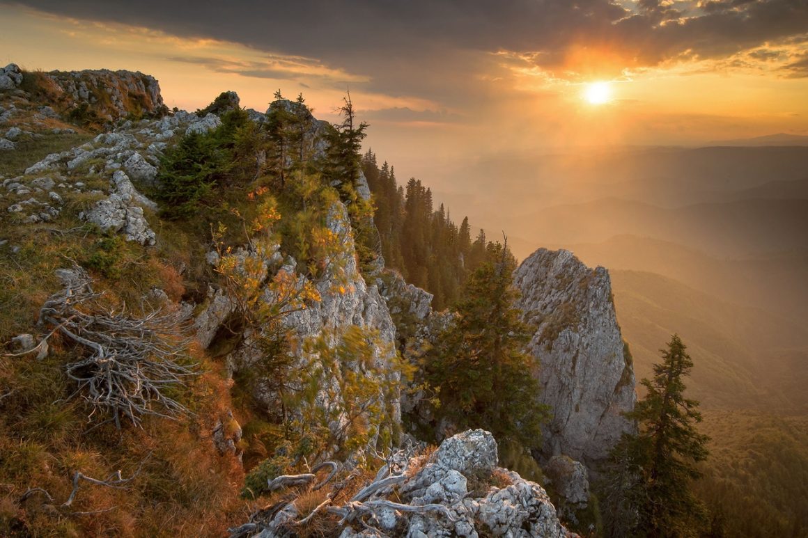 România Sălbatică