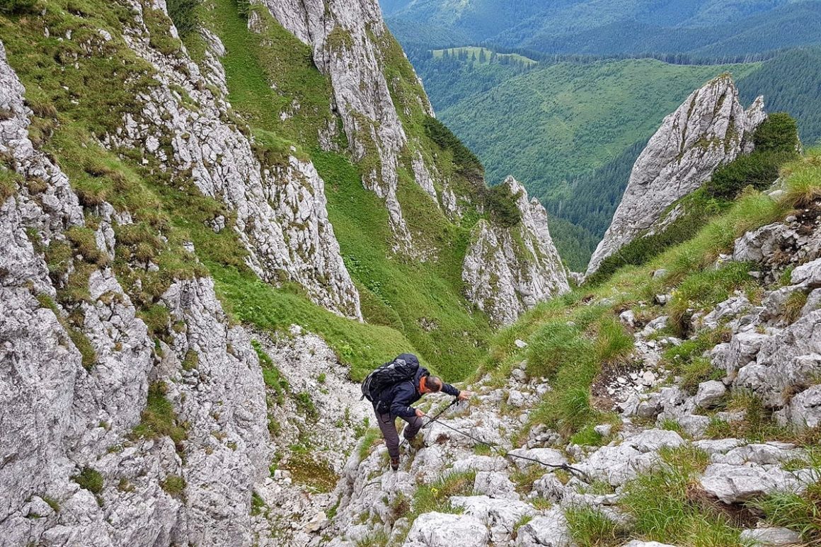 România Sălbatică