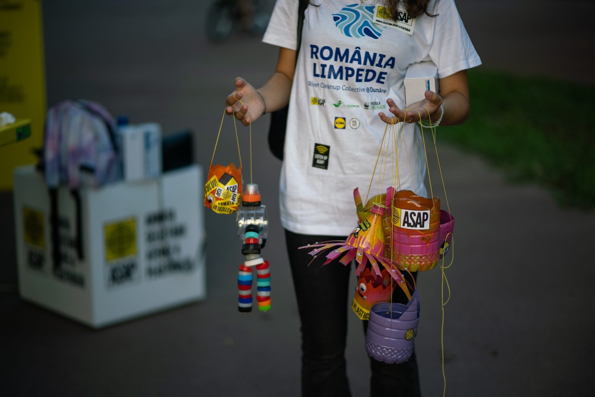 Cum vom curăța Dunărea de plastic? Un program de impact, marca Lidl România