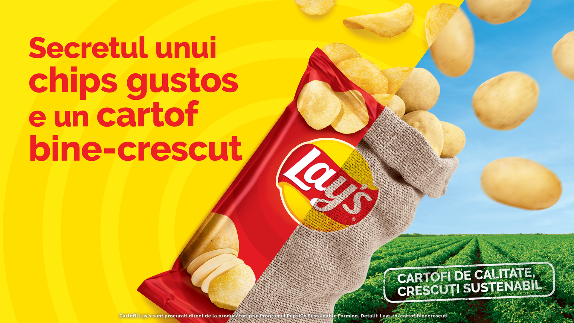 Românii știu secretul unui chips gustos: cartofii de calitate