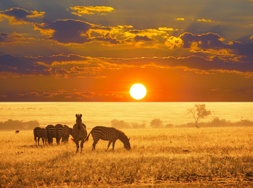 ce să vizitezi în Africa de Sud