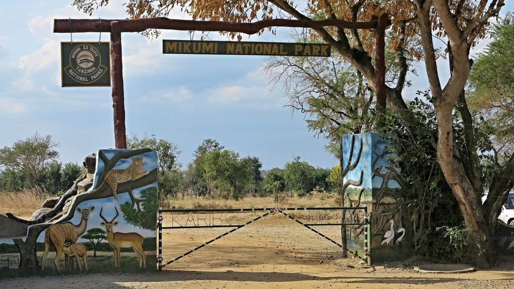 ce să vizitezi în Tanzania
