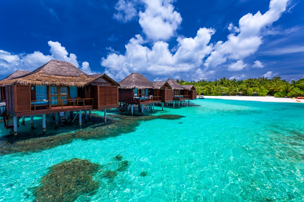 Maldive