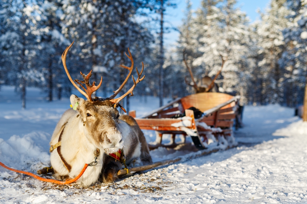 Moș Crăciun Laponia
