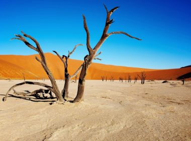 Deșertul Namib