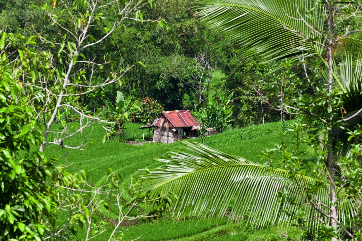 Sumatra