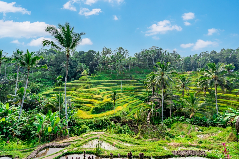 Ce să vizitezi în Bali