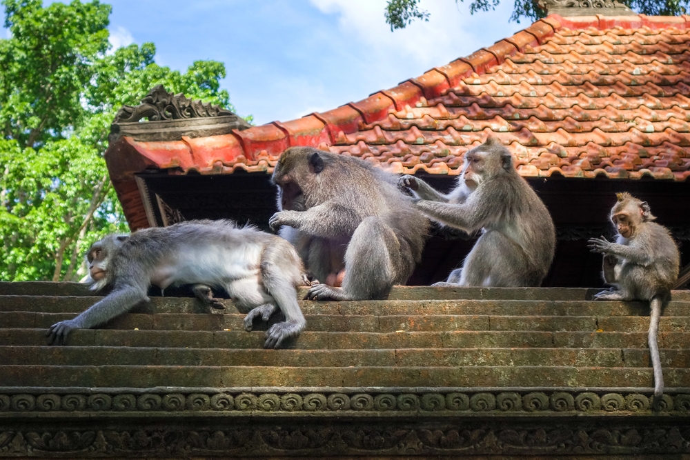 Ubud