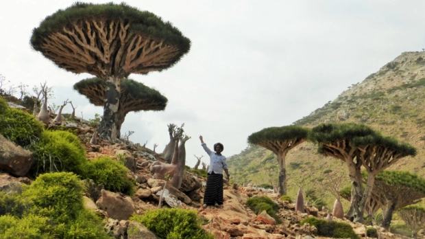 Cât costă o vacanță în Yemen