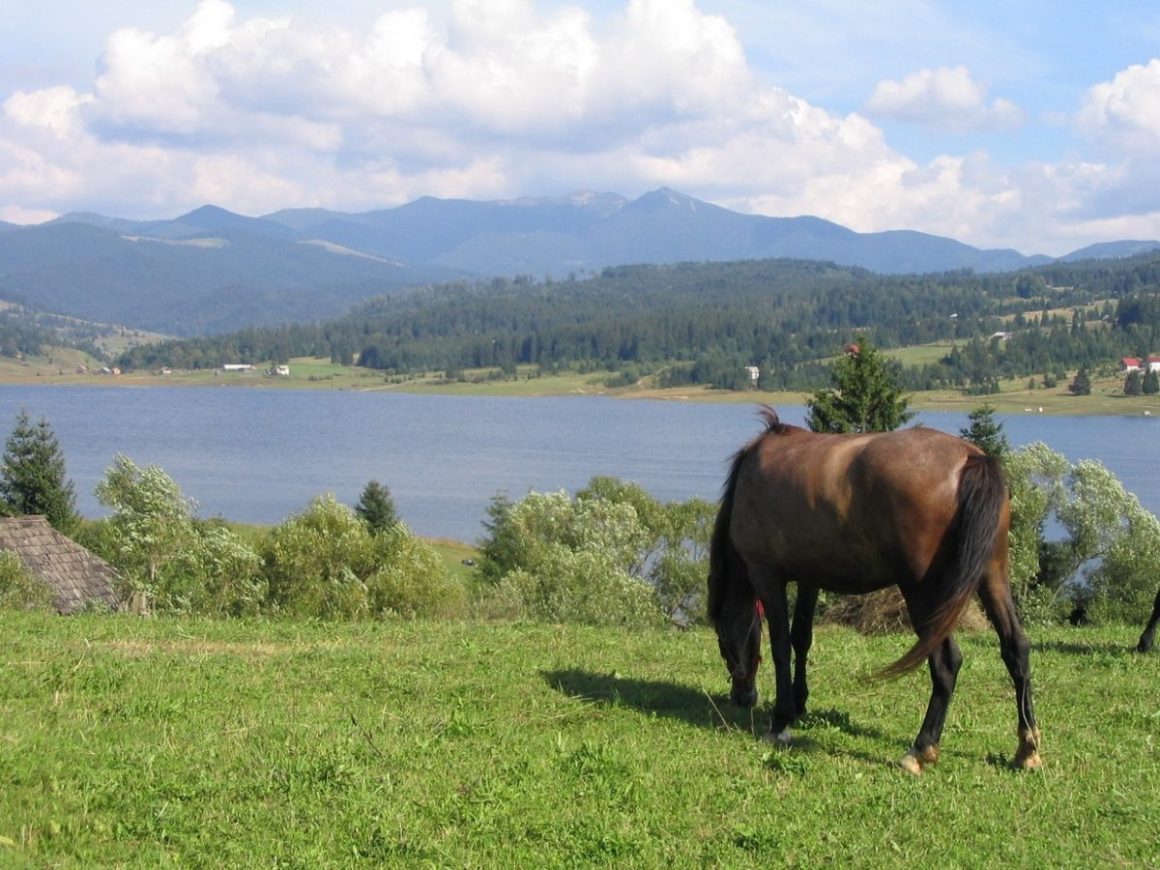 Viața în Bistrița