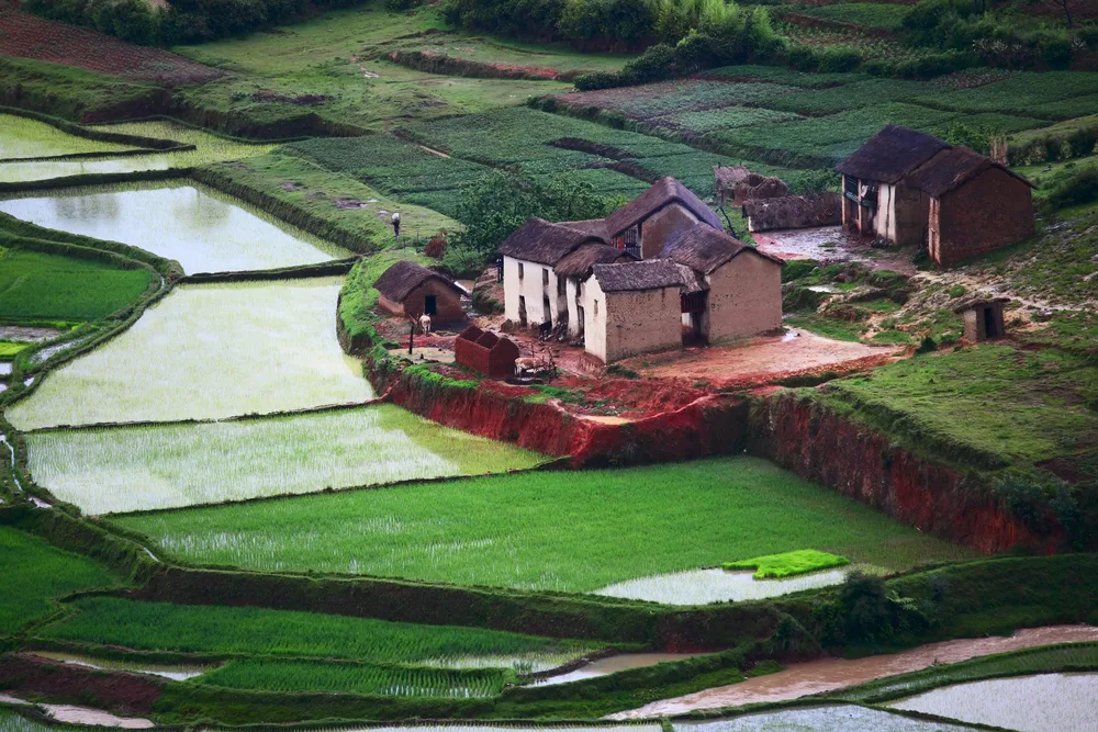 Viața în Madagascar