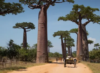 Viața în Madagascar