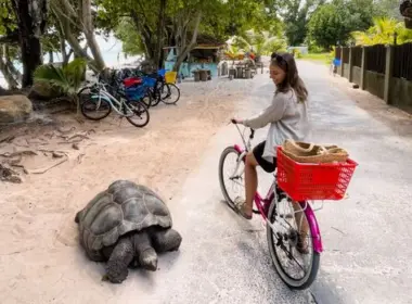 Viața în Seychelles