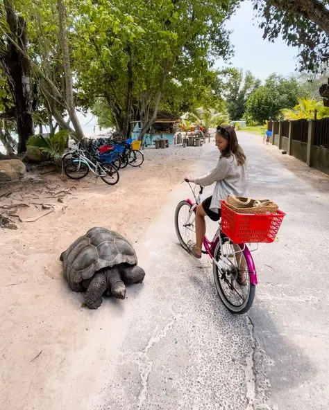 Viața în Seychelles