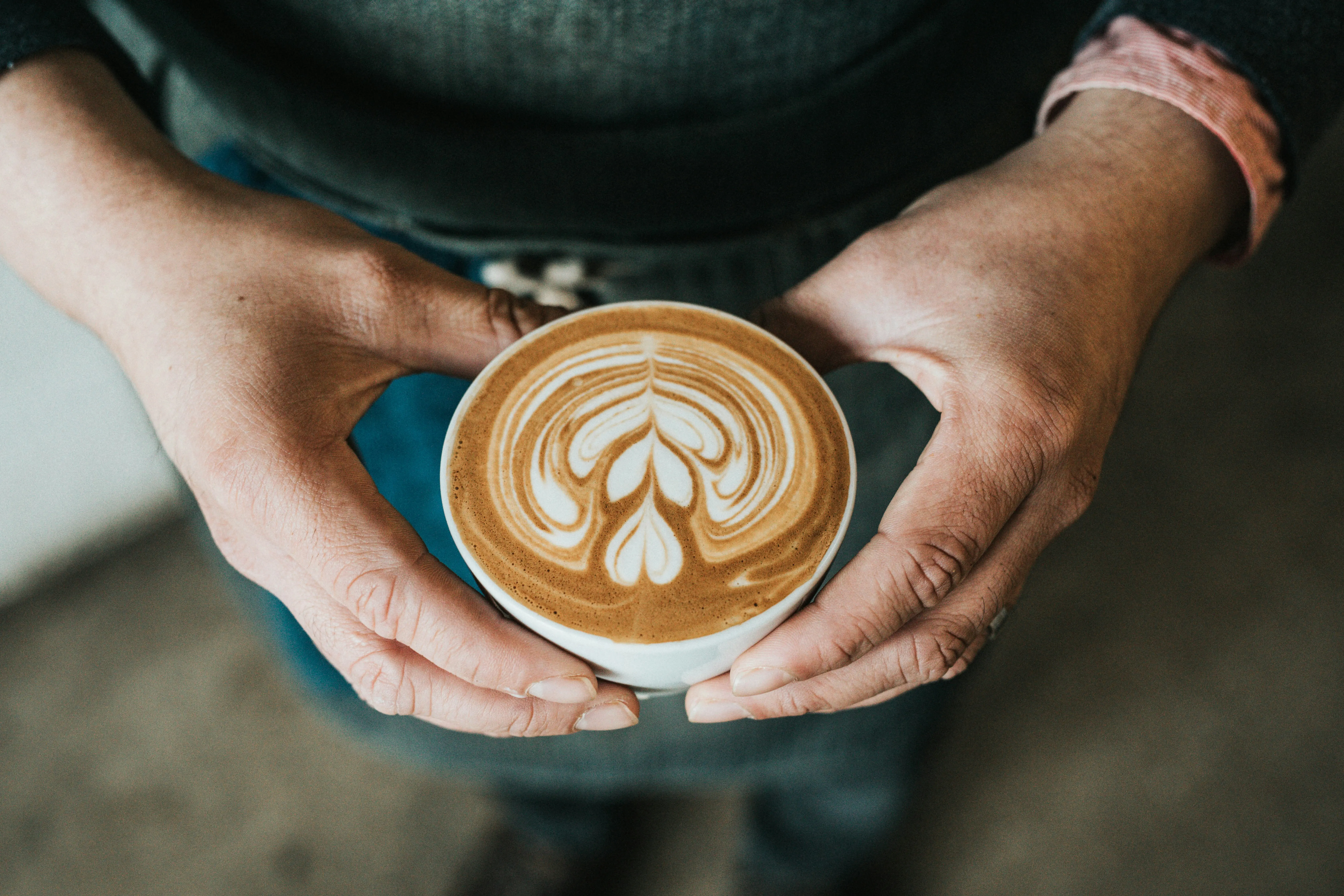 Cât costă franciza TED’s Coffee – un brand românesc în plină expansiune