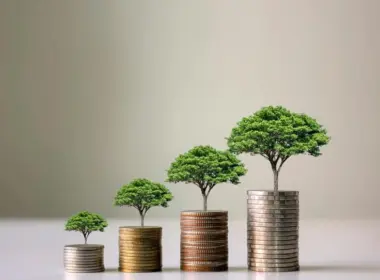 Cele mai ciudate investiții