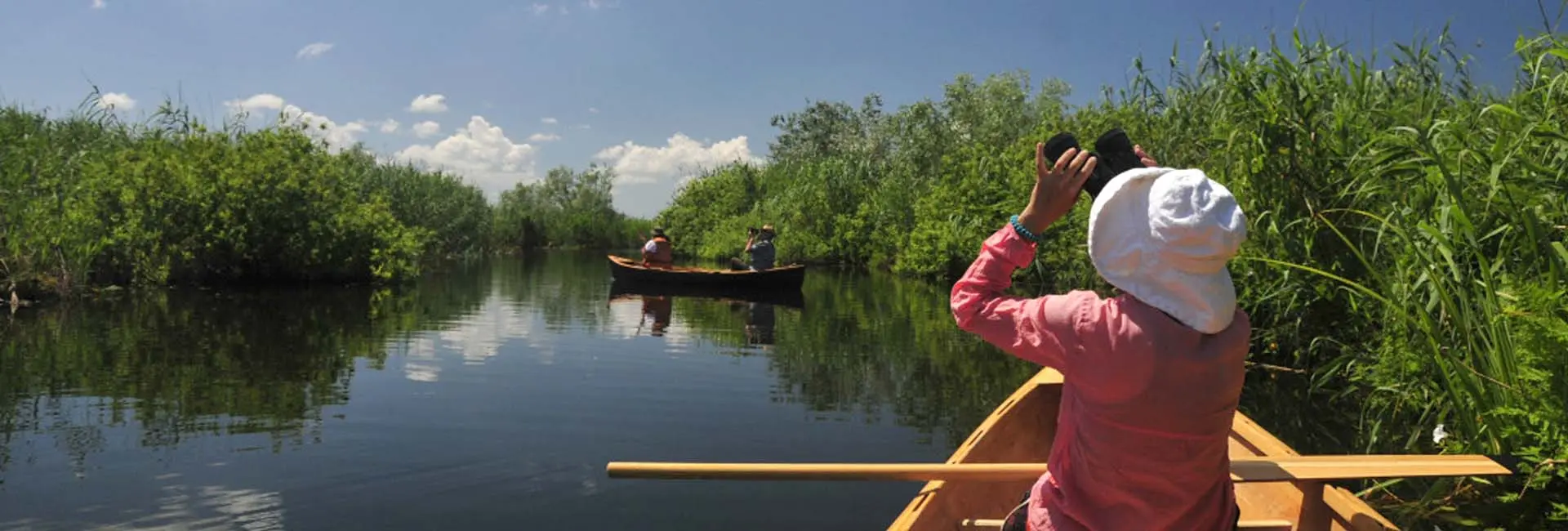 10 curiozități despre Delta Dunării – locul unde natura scrie propriile povești