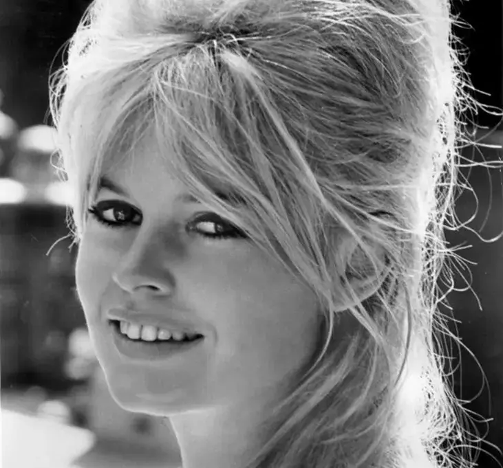 Viața lui Brigitte Bardot