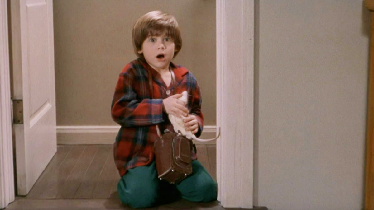 Ce mai face acum Alex Linz, actorul din „Home Alone 3”: cum a trecut de la copil-star, la cercetător juridic